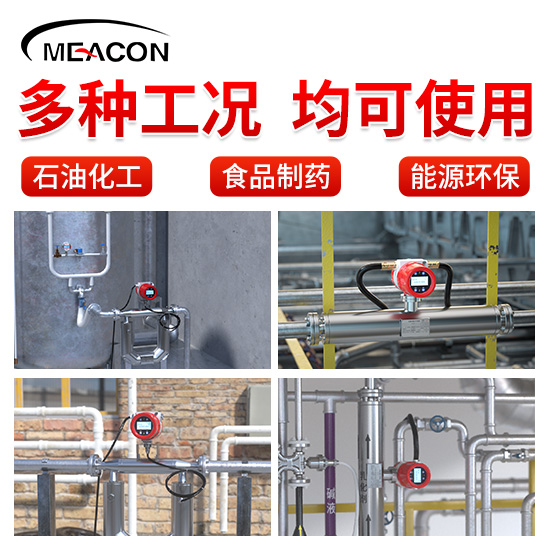 博天堂网址＿FCC800 大U型科里奥利质量流量计＿质量流量计＿杭州博天堂网址